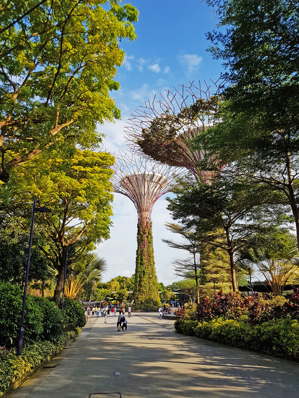Singapura - Gardens by the Bay