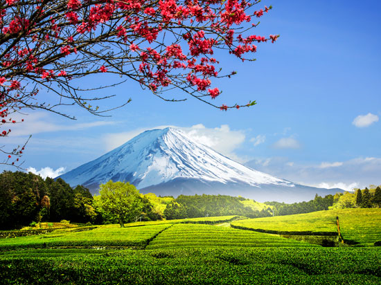Japão - Monte Fuji