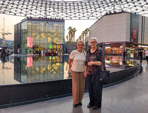 Maria Aparecida De Castro Ravani – São Paulo (SP)